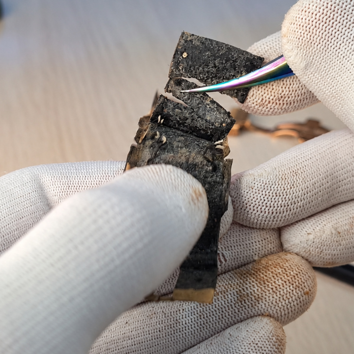 Damaged inner layer of the strap after disassembly.